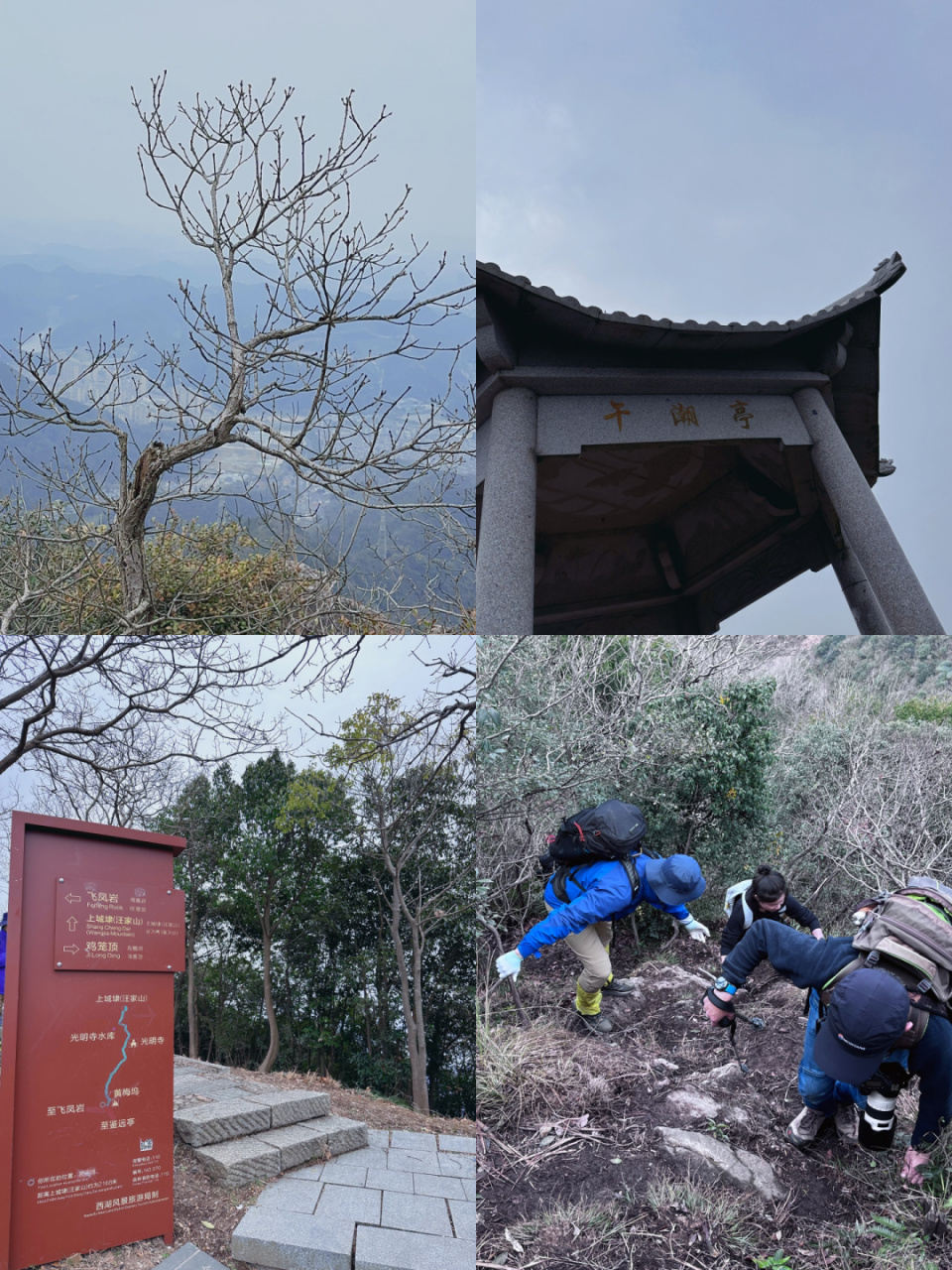 午潮山飞凤岩图片