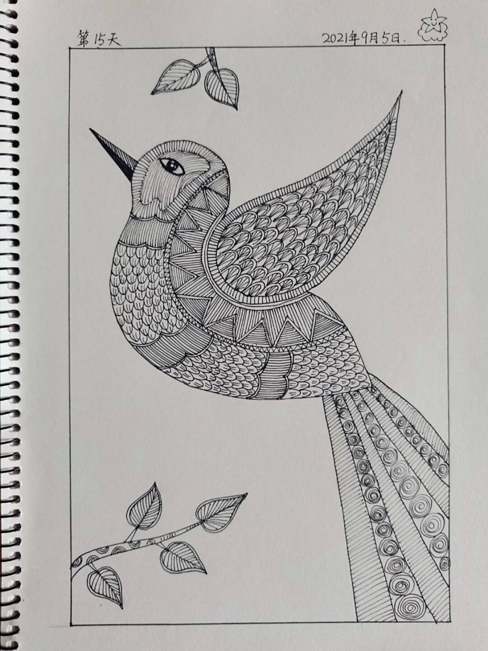 创意线描画/一只小小鸟/控笔练习day15 7715听着周老师的音频,画