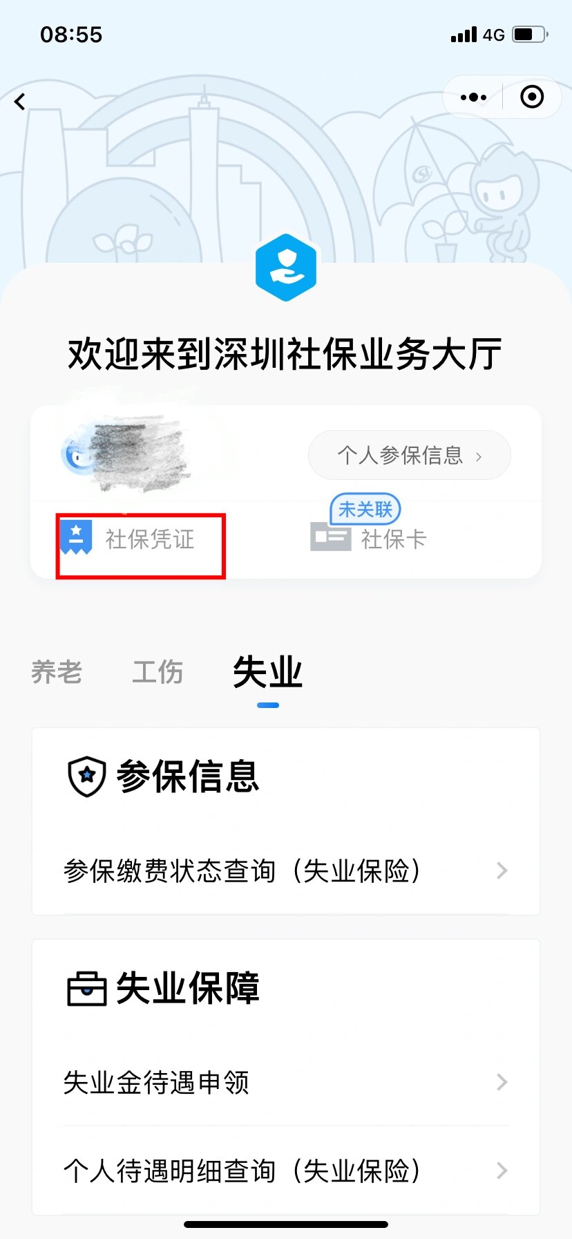 深圳社保缴费证明查询攻略,速看