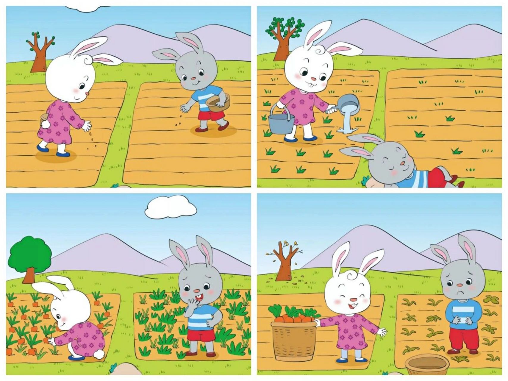 二年级看图写话兔子图片