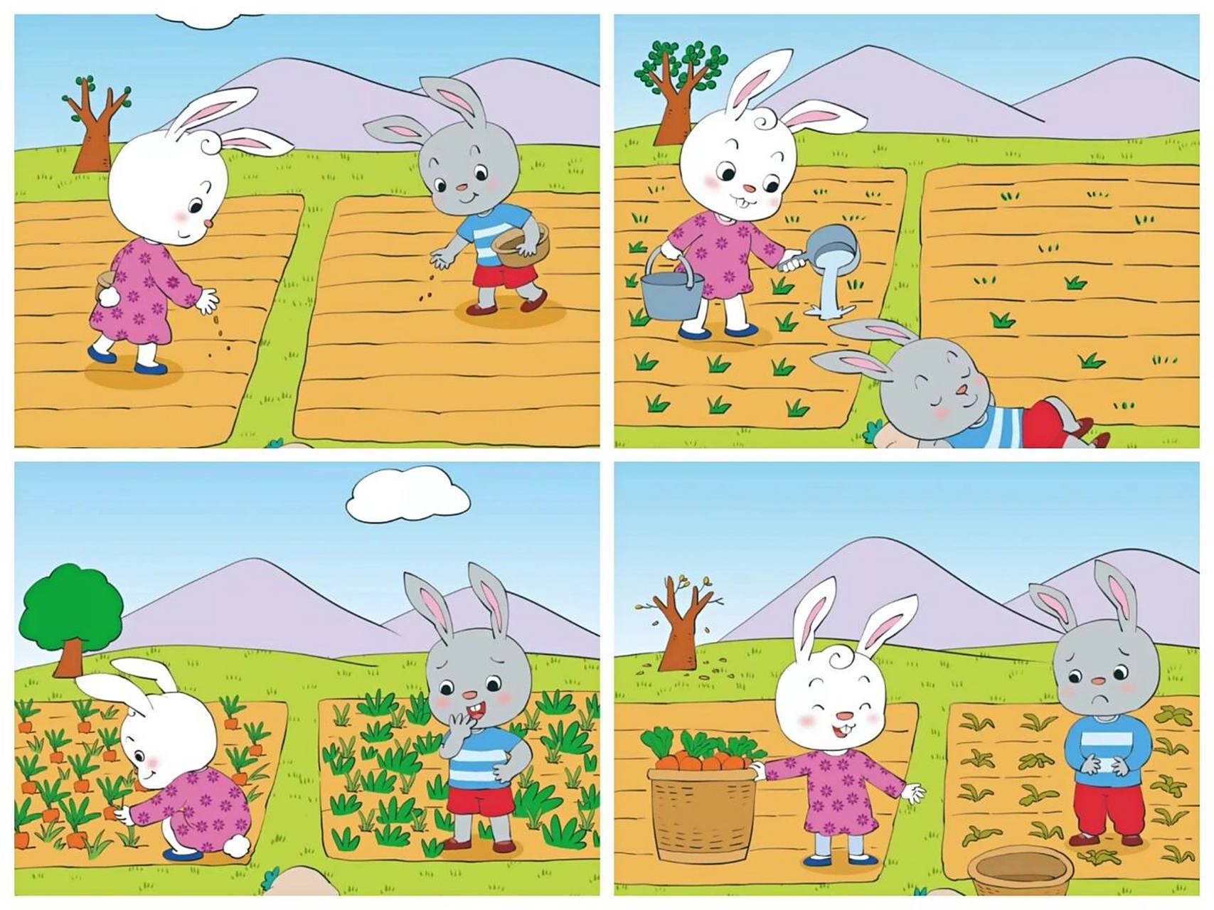 看图写话 小兔种萝卜 春天到了,小兔跳跳和欢欢在田里种萝卜.