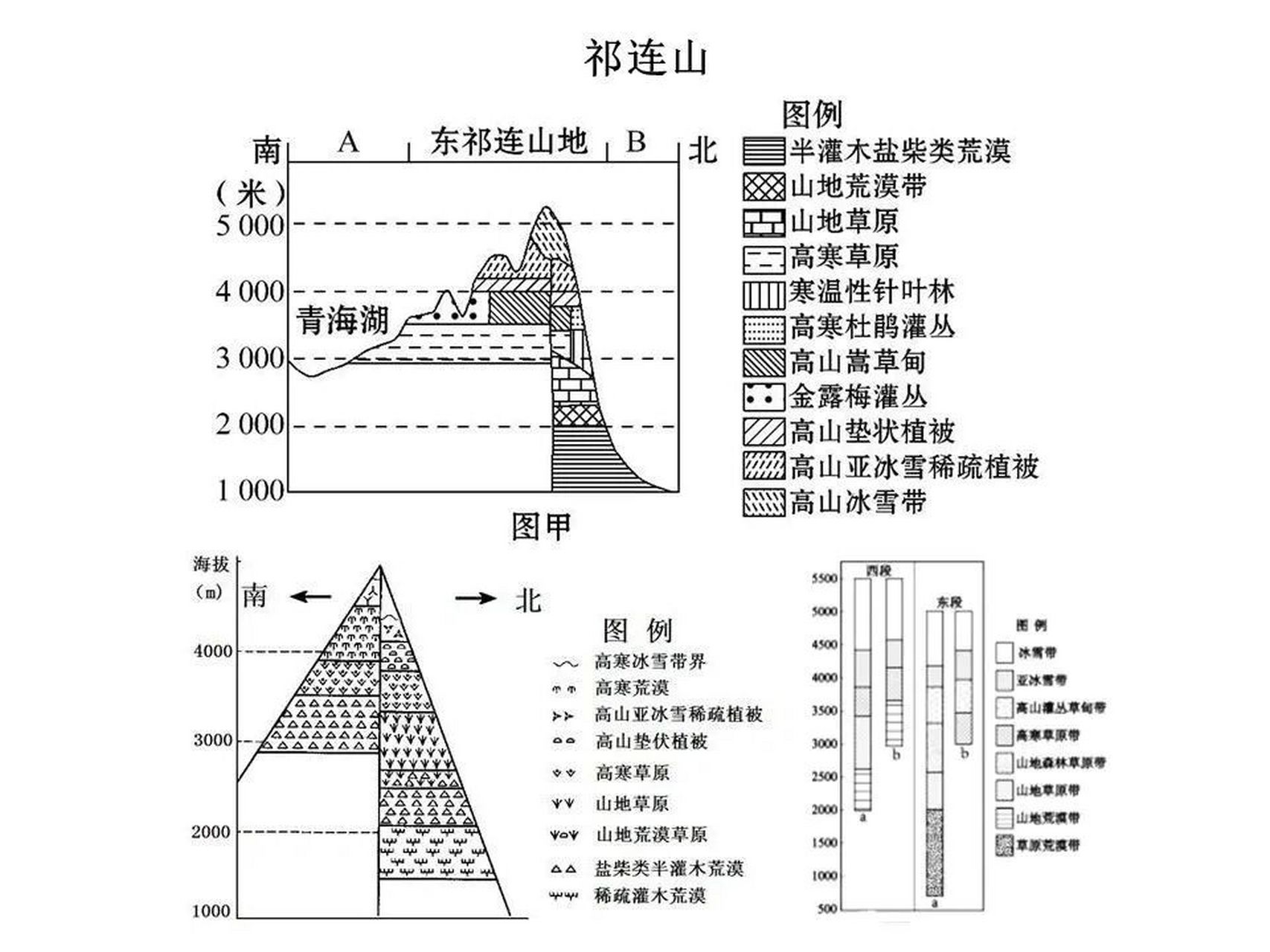 【高中地理】国内常考山脉的垂直自然带谱 1.天山 2.祁连山 3.