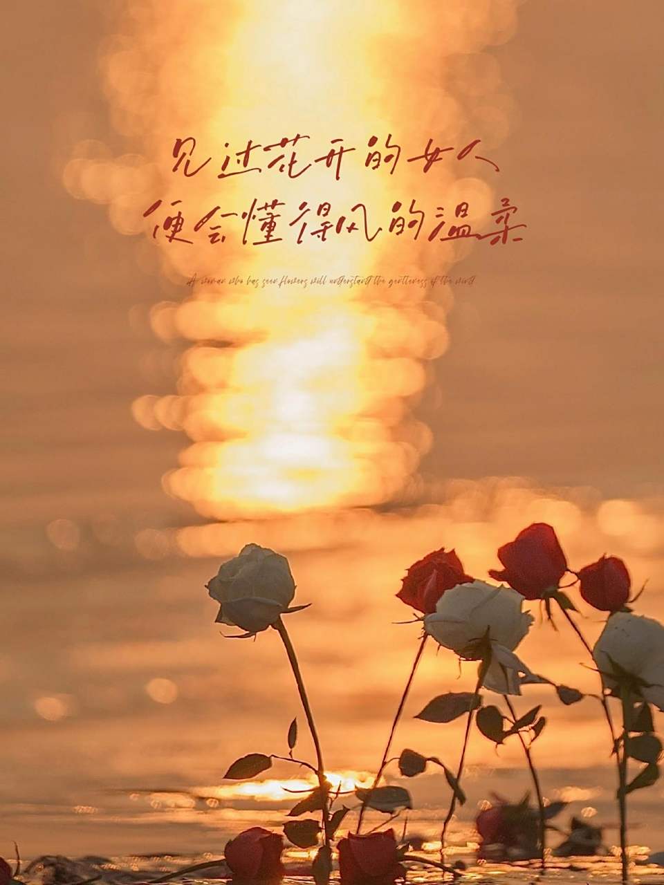 28第229期|情感文案壁纸&高级背景图 09 花会沿路盛开 以后的路