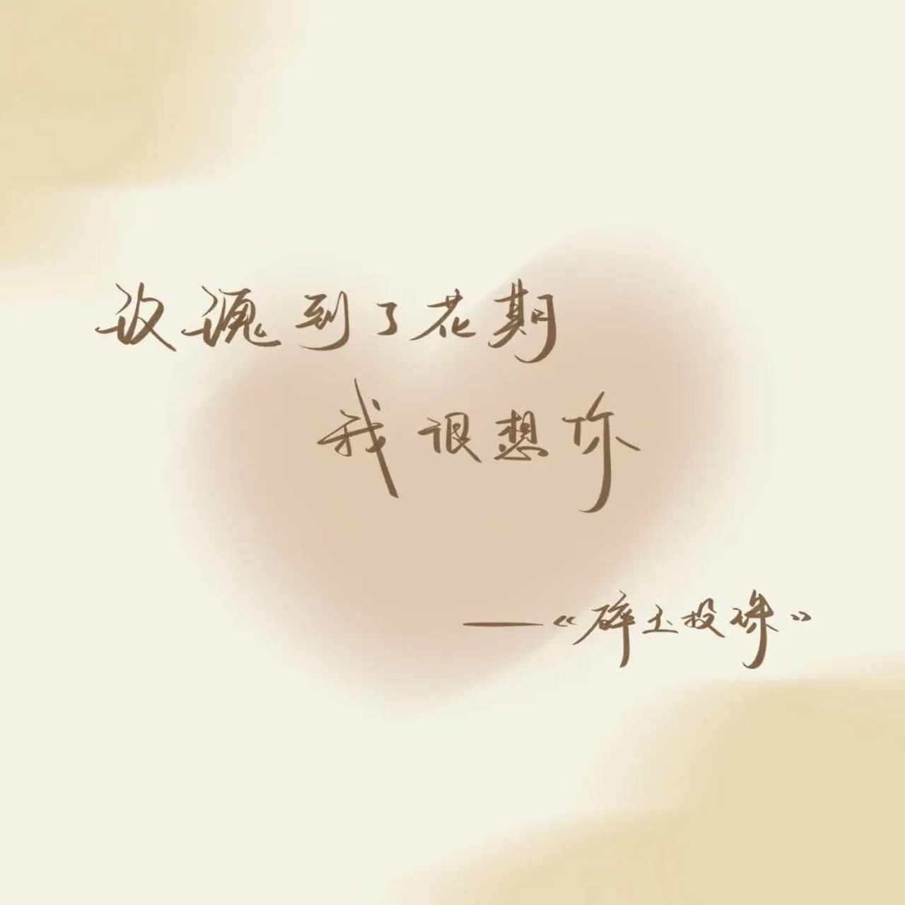 原耽里惊艳世俗的句子 | 文字背景图 *图片源于 仅作分享