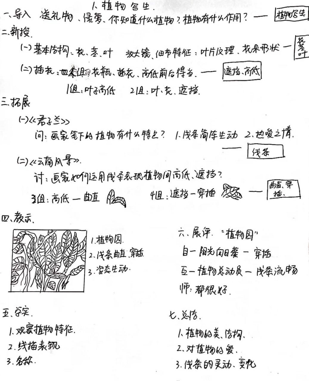 美术教师招聘考试 简案 《植物写生》