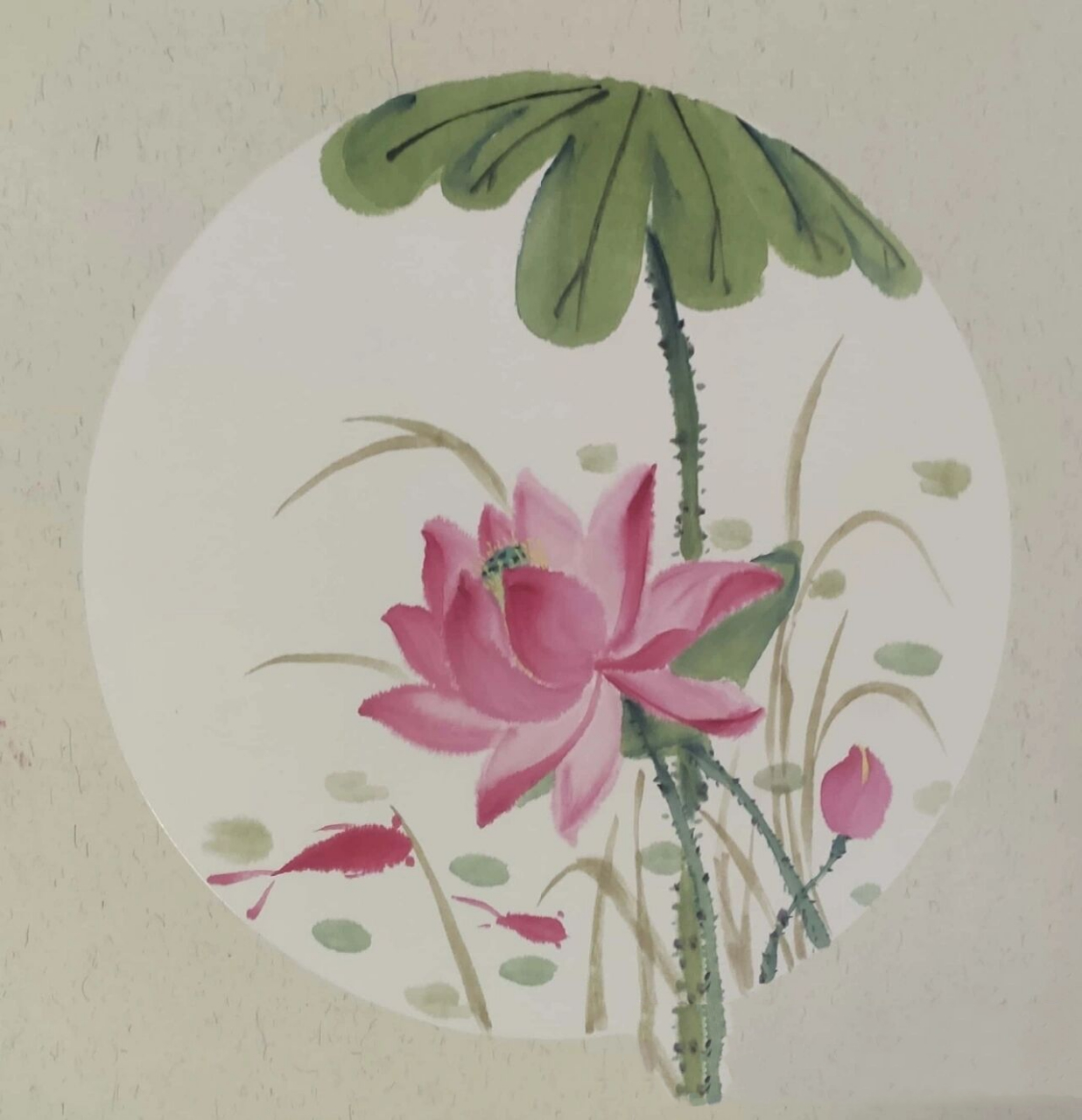 国画小白初学-荷花(含步骤图) 16615荷花:曙红加水 26615莲蓬