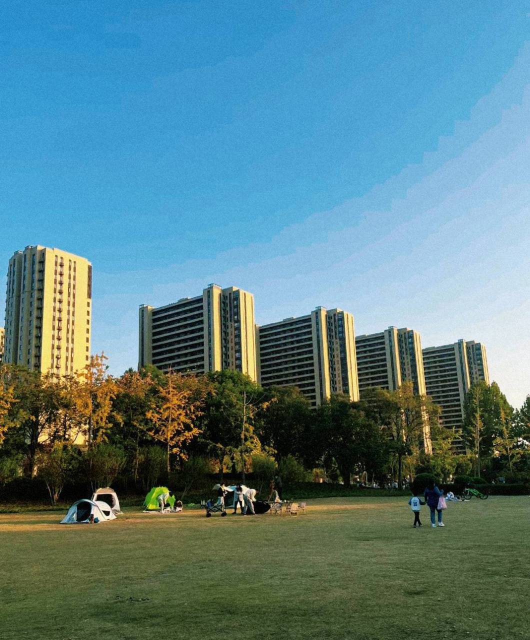 上海免费露营地|南大公园 90宝山区丰收东路388 免费93门票;免费