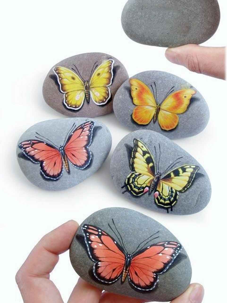 手绘石头画,蝴蝶飞呀,飞到美丽的远方 #画画