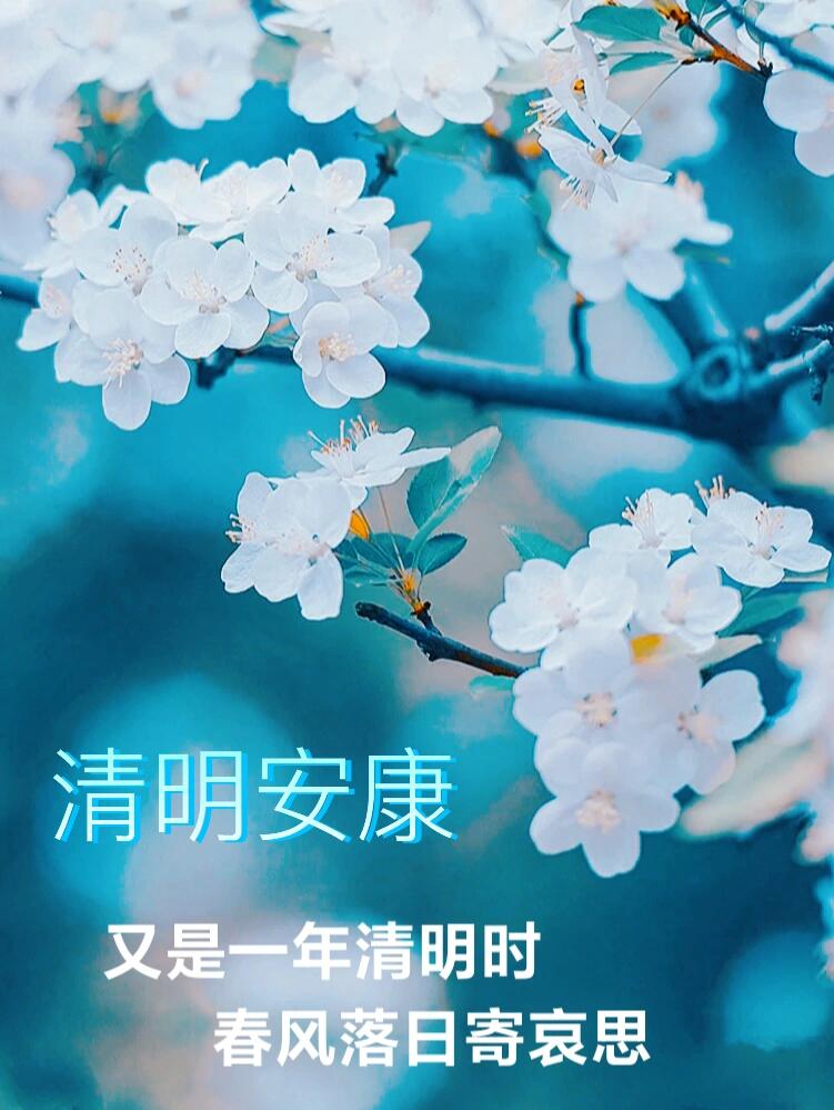 清明节朋友圈问候文案组图 又是一年清明时,春风落日寄哀思,清明安康