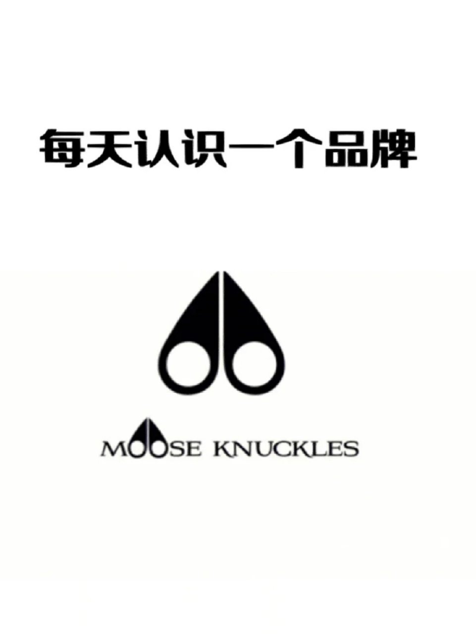 moosealley图片