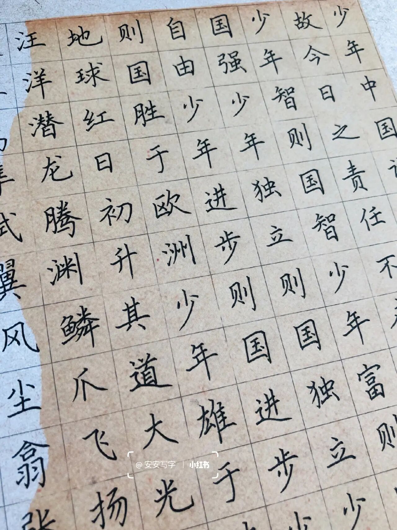 手写丨硬笔书法作品《少年中国说》节选
