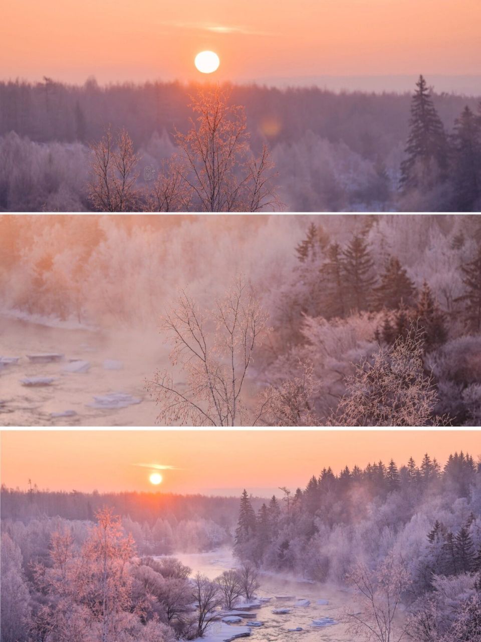 7715这是我见过冬日最美的日出 7815我向山川草木借光,记录下