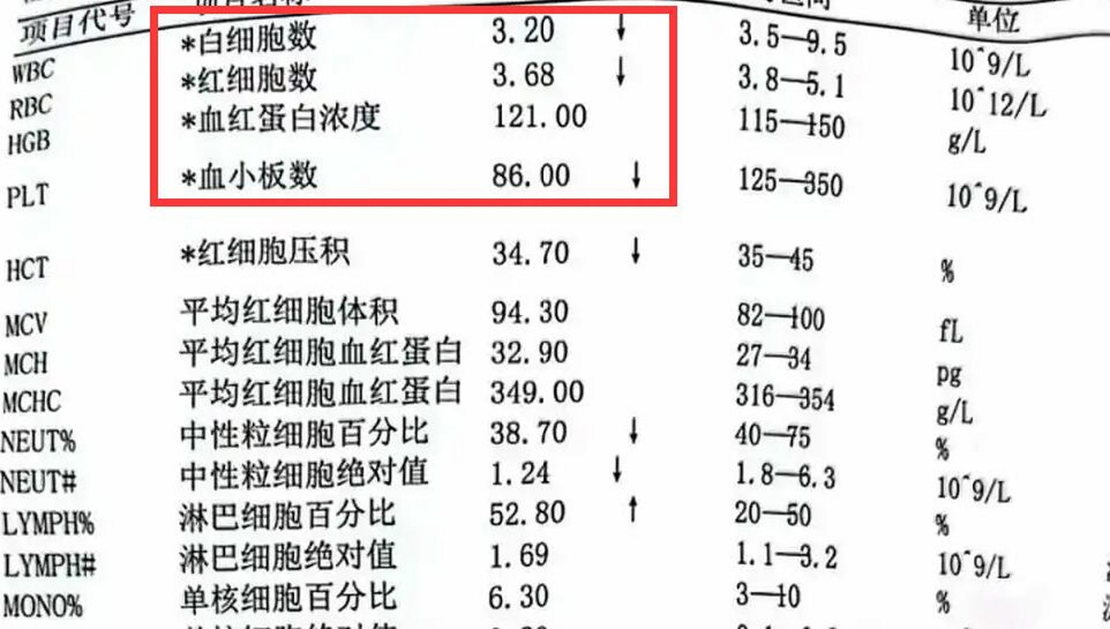 中性粒细胞百分比图片