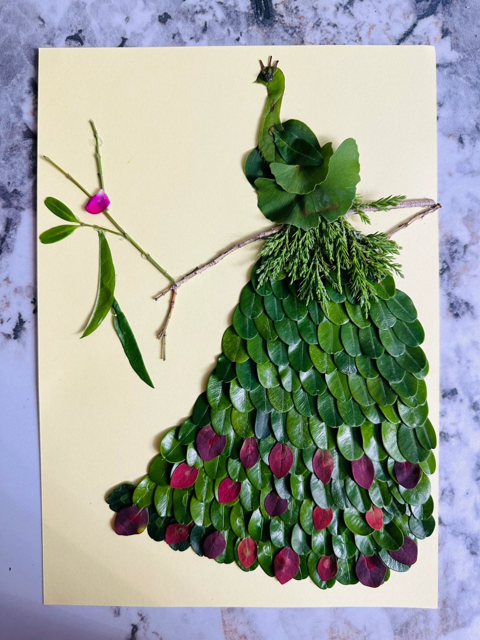 创意叶画 三年级春游实践活动植物园作业一副叶画,由于春天区别于秋天