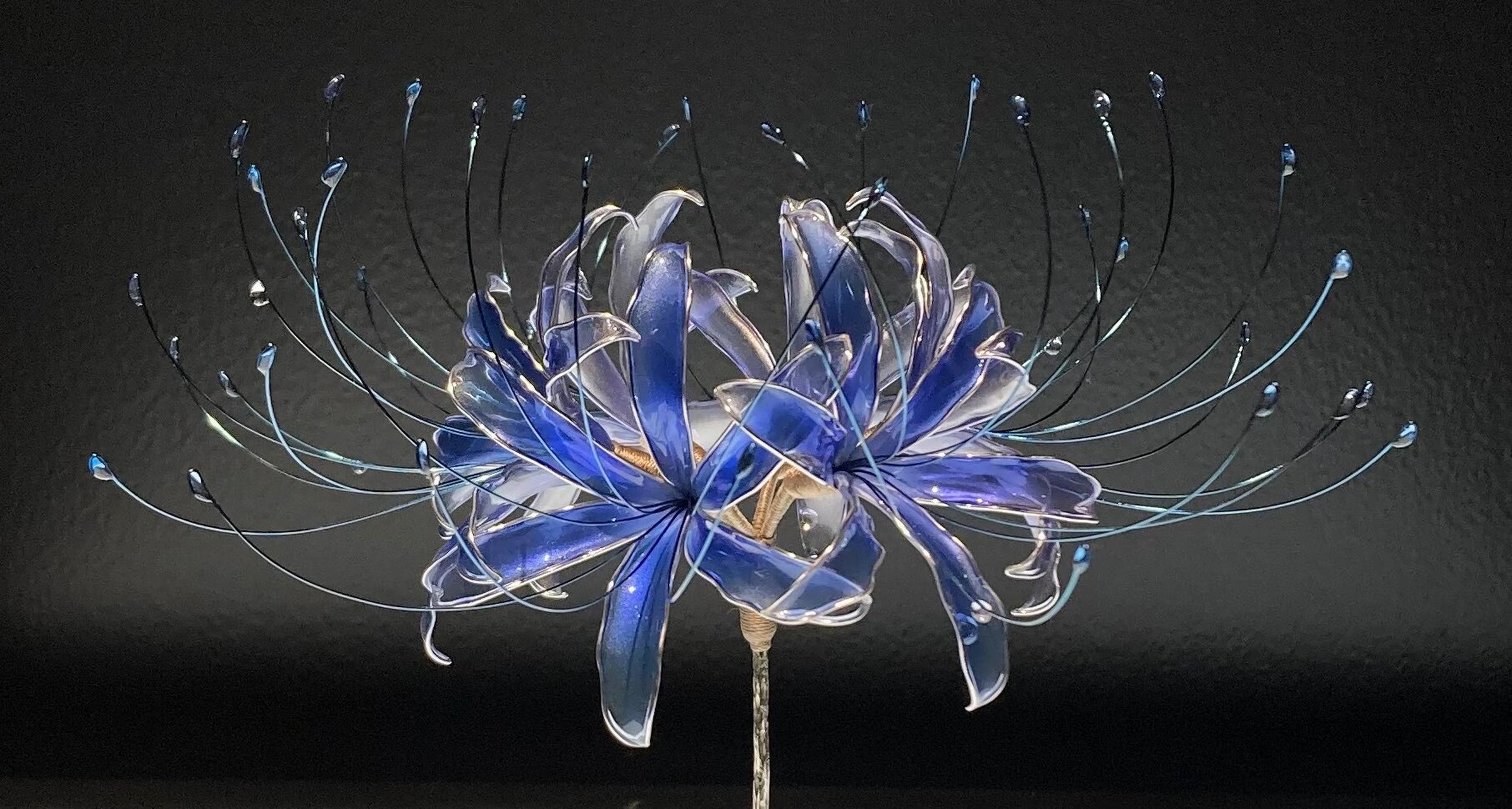 蓝色的曼珠沙华见过么? 蓝色高贵冷艳,红色妖异热烈.