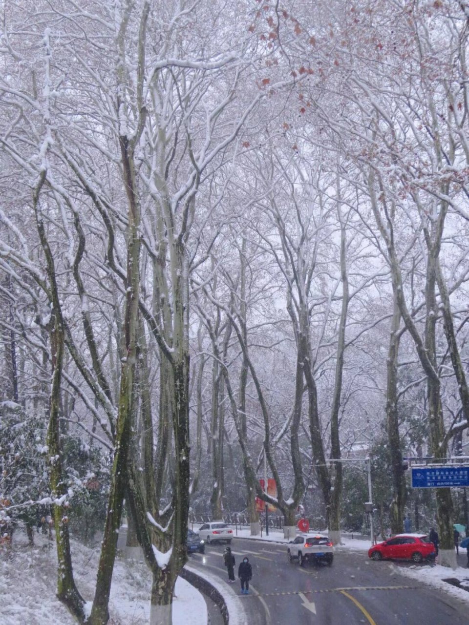 南京下雪天图片图片