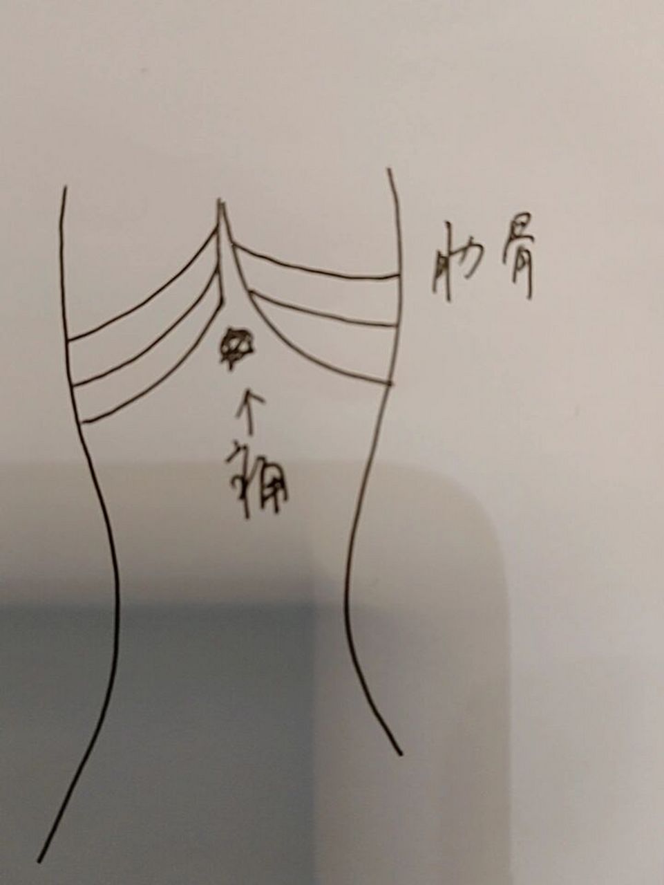 就两肋骨中间那个点痛,不知道是不是胃.