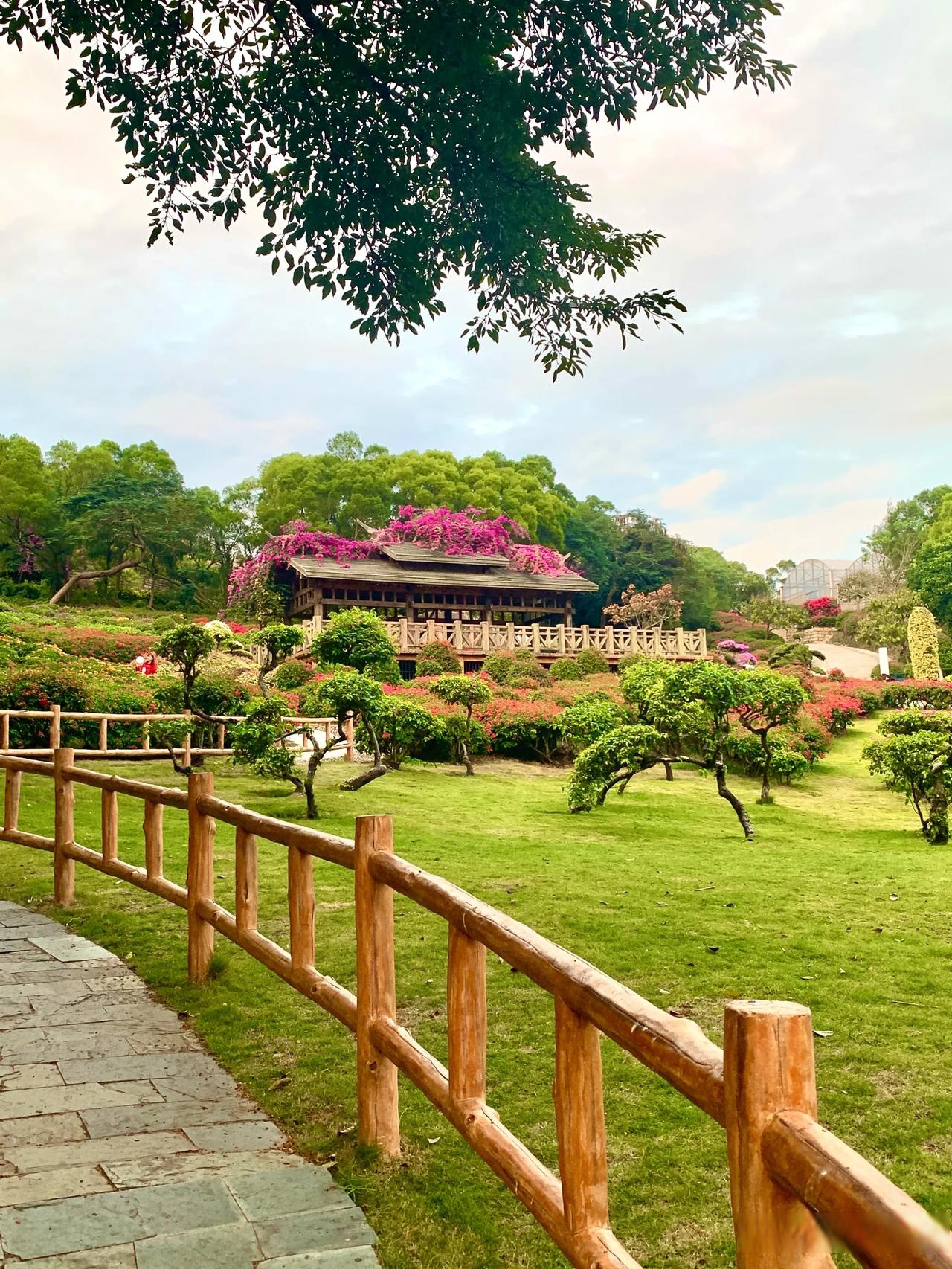 年初走东坪山的健康步道林海线时就看到指示牌上有一处叫梅海岭的