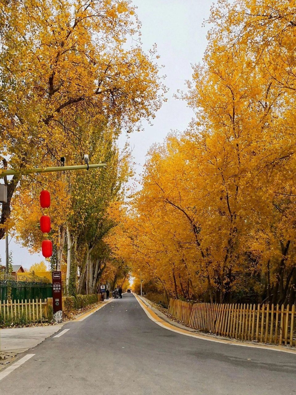喀什地区旅游景点大全!你去过几个? 喀什古城景区,5a.