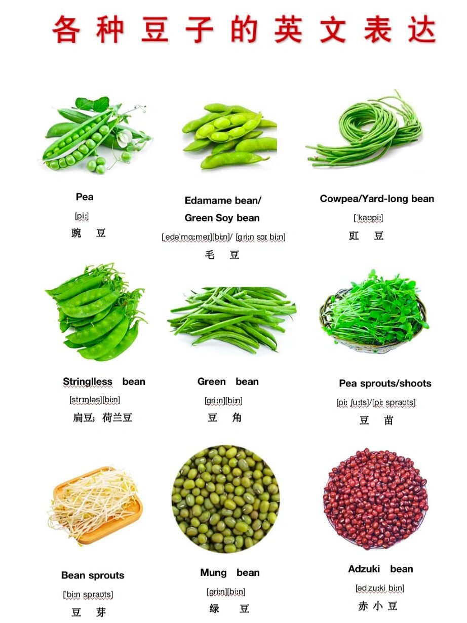 豆类英文|green bean不是绿豆,是豆角