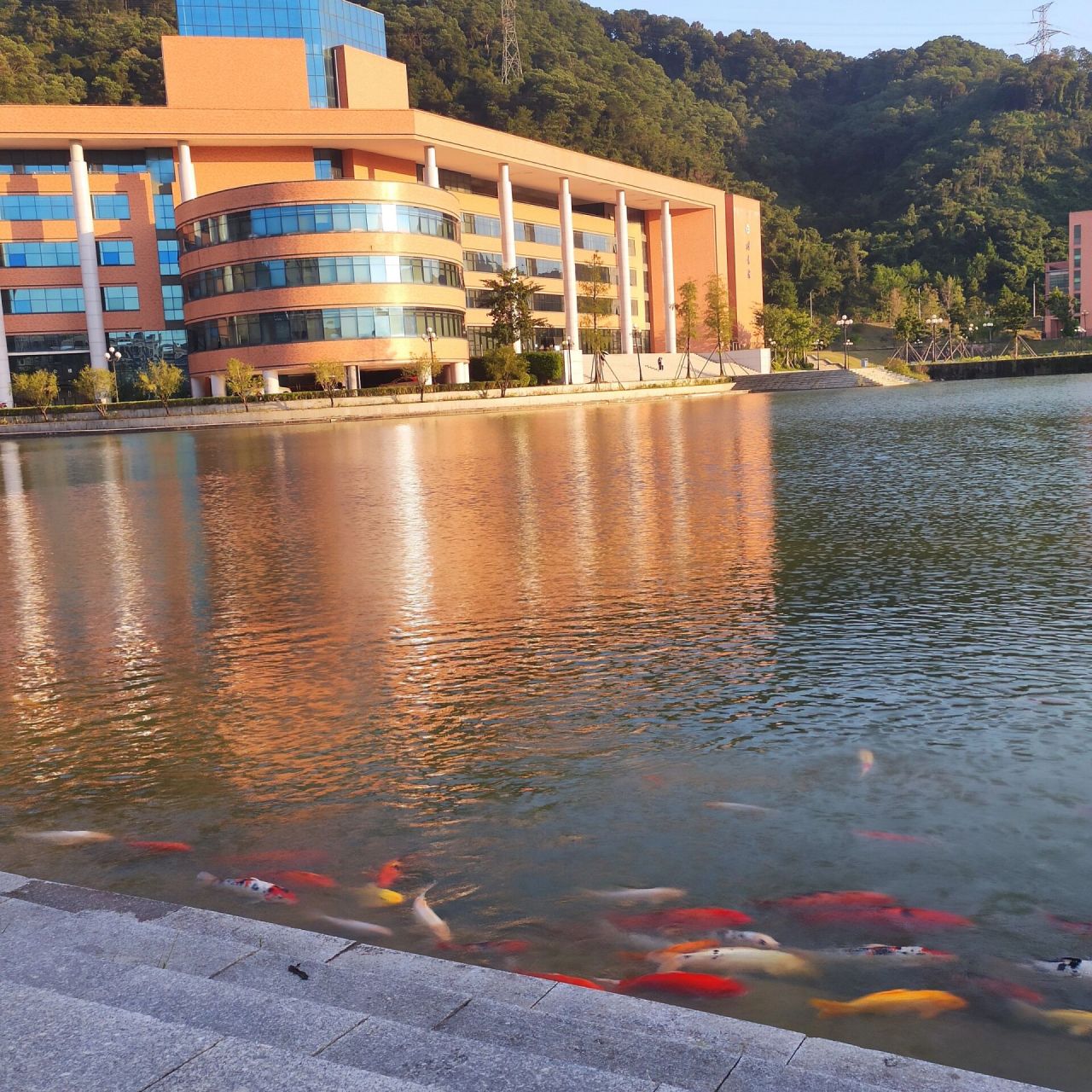 广东药科大学中山校区图书馆和商圈篇        图书馆 大学生活怎么少