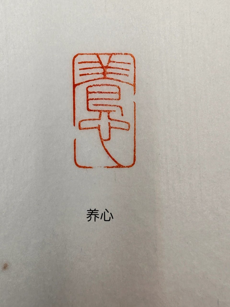 养心 引首章,闲章,书法印章手工篆刻天然老挝石.内容:养心.