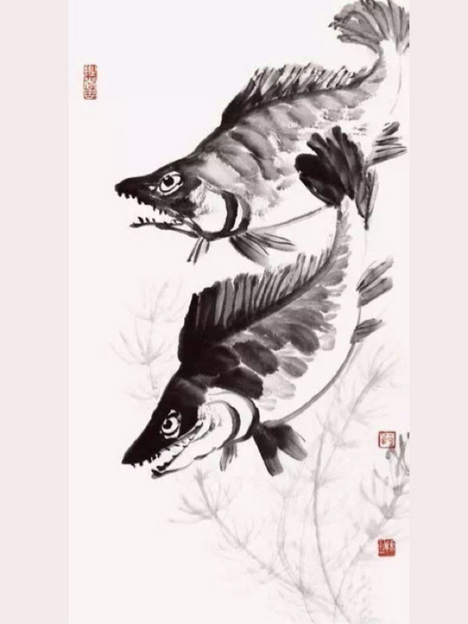 国画教程"鳜鱼"画法 1.