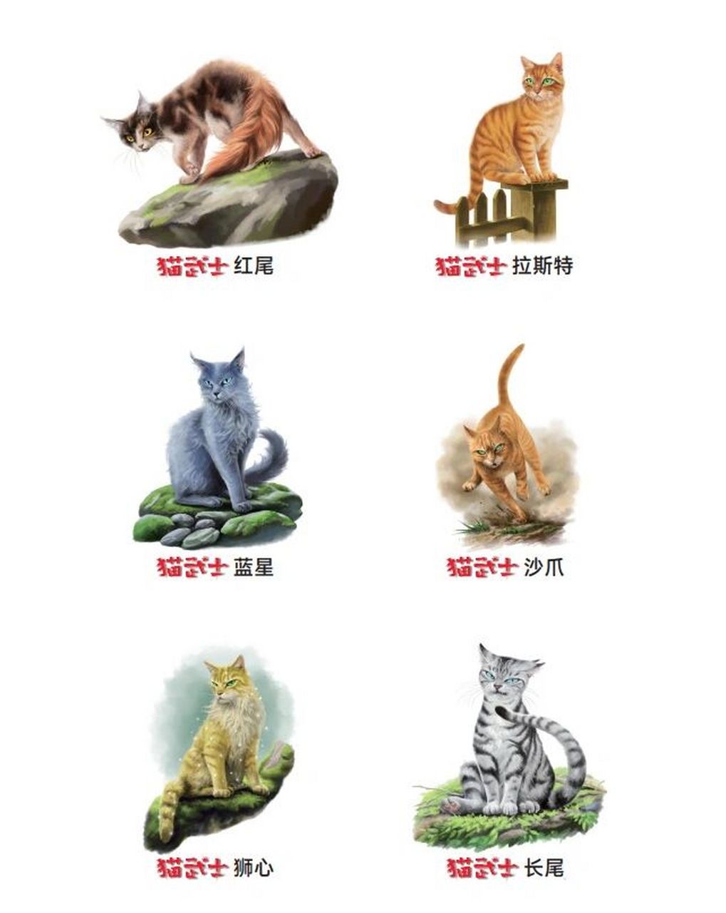 猫武士新版印刷贴纸6015 长尾拽拽的表情我好爱 为什么反派都这么