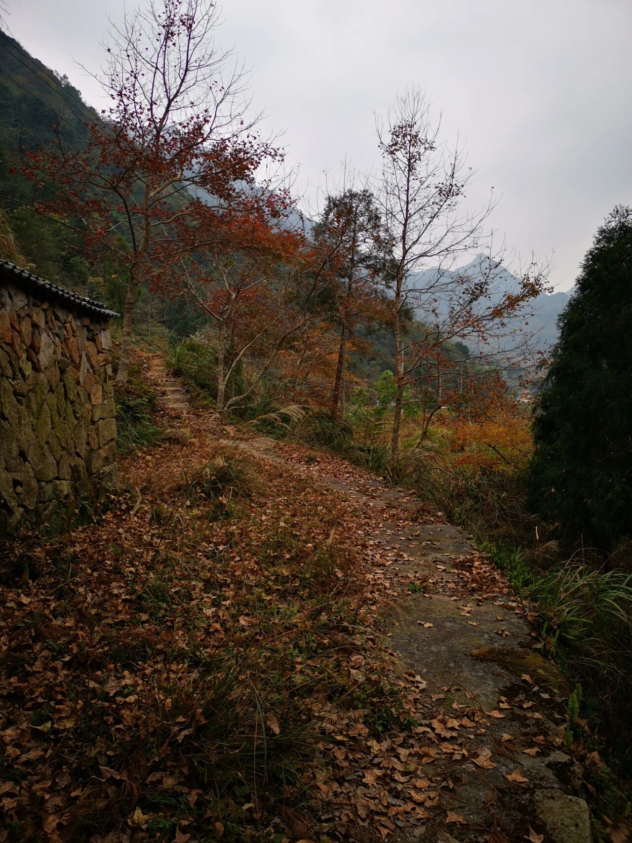 苍南县龙沙乡图片