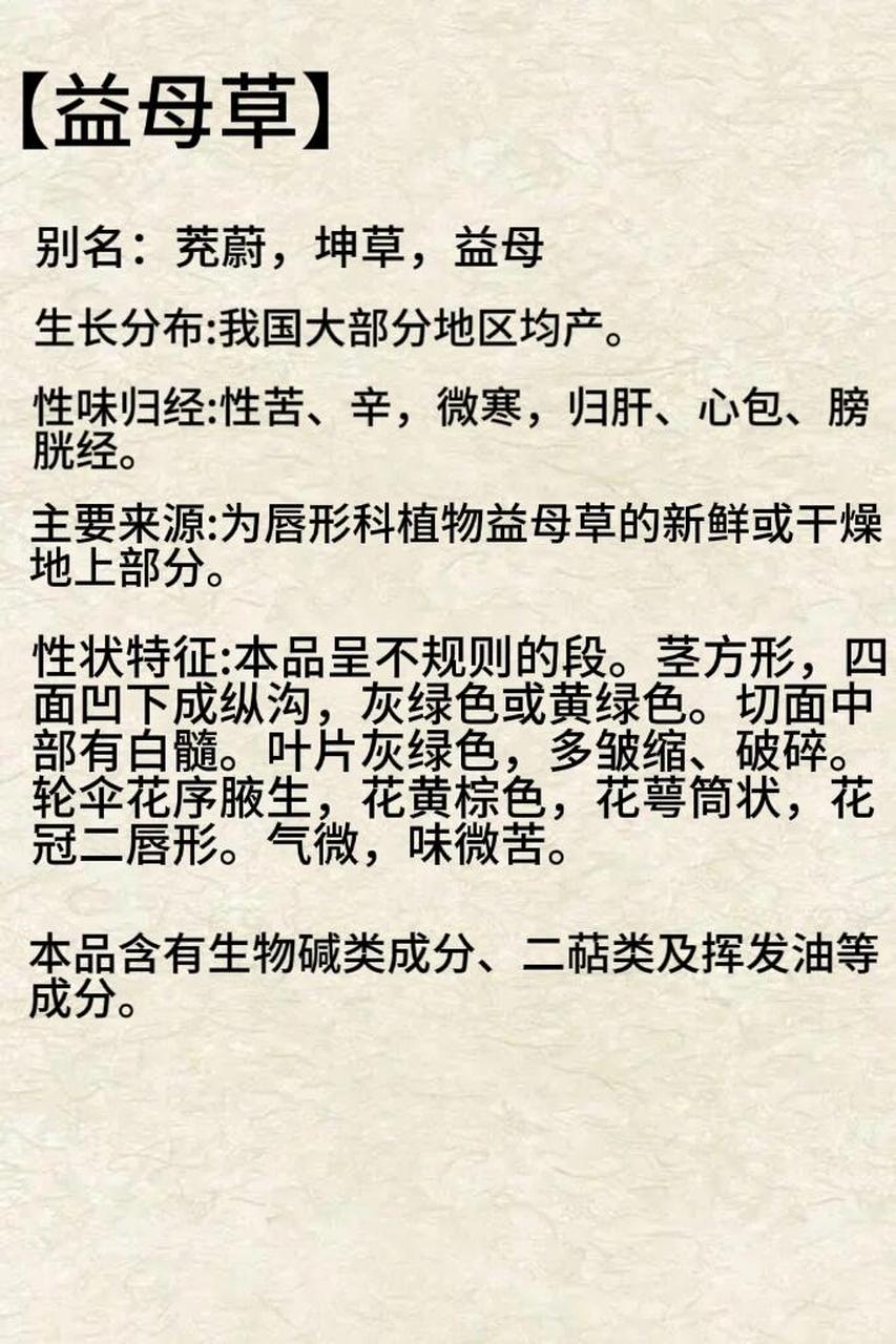 益母草的功效与主治图片