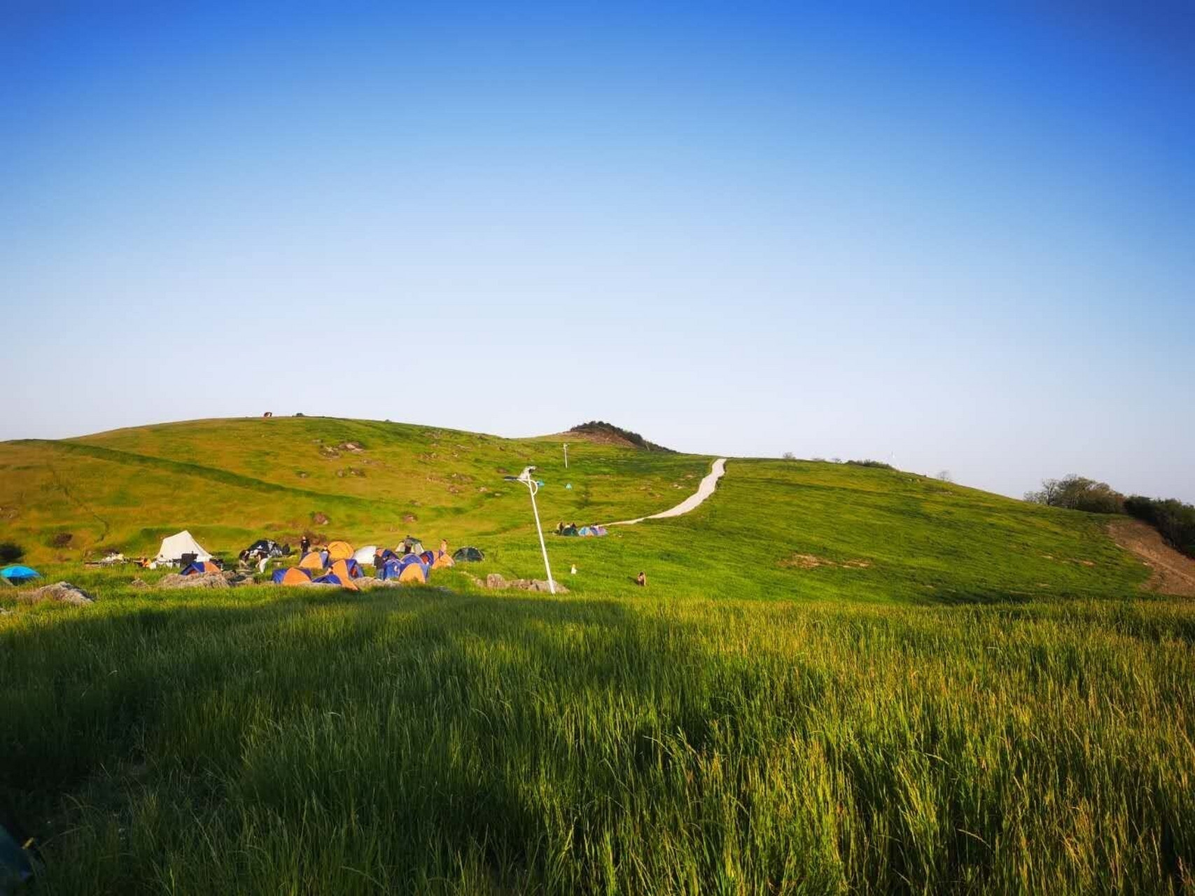 襄阳市保康县南顶大草原 2020年的五一假期,约了三五好友开车去了保康