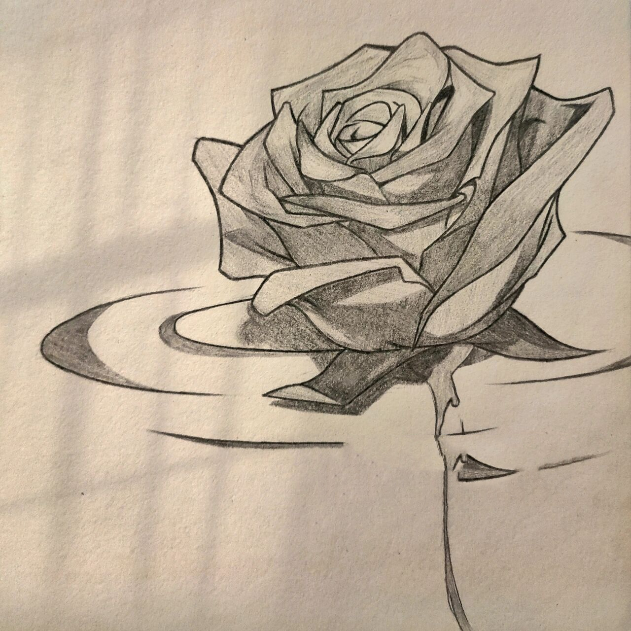 教你画玫瑰95过程图 "玫瑰丢进篝火,浪漫浴火重生"