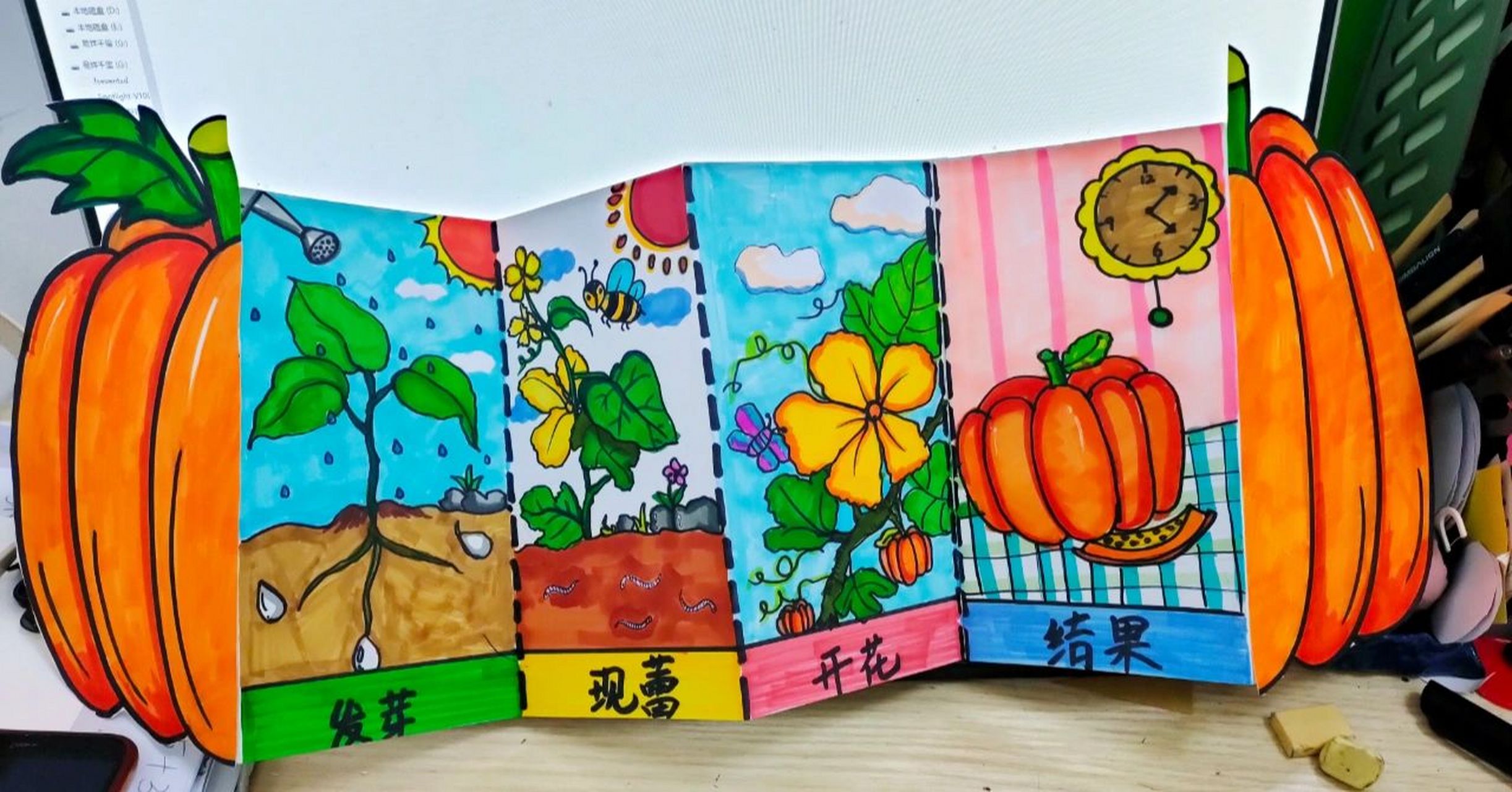 植物生长手册一南瓜99
