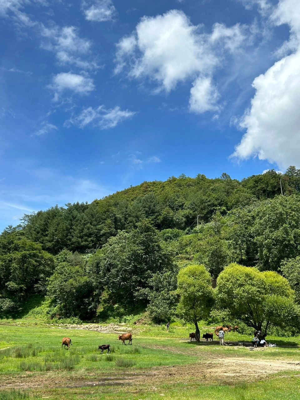 99 	 08地址位于云南省临沧市永德县乌木龙彝族自治乡,市区出发