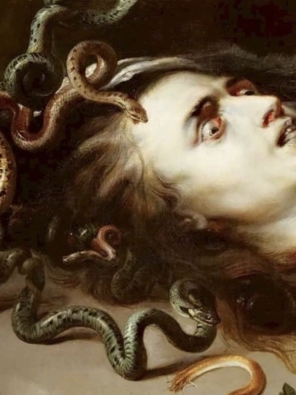 今天你看画了吗|蛇发女妖美杜莎 96 美杜莎是古希腊的蛇发女妖,满头