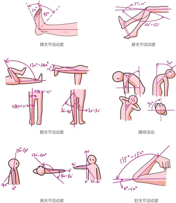 关节活动的正常范围是什么?