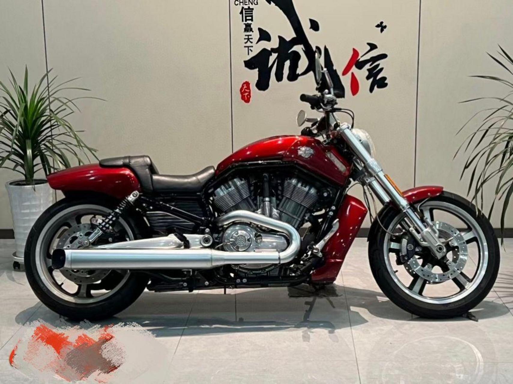 哈雷肌肉1250cc