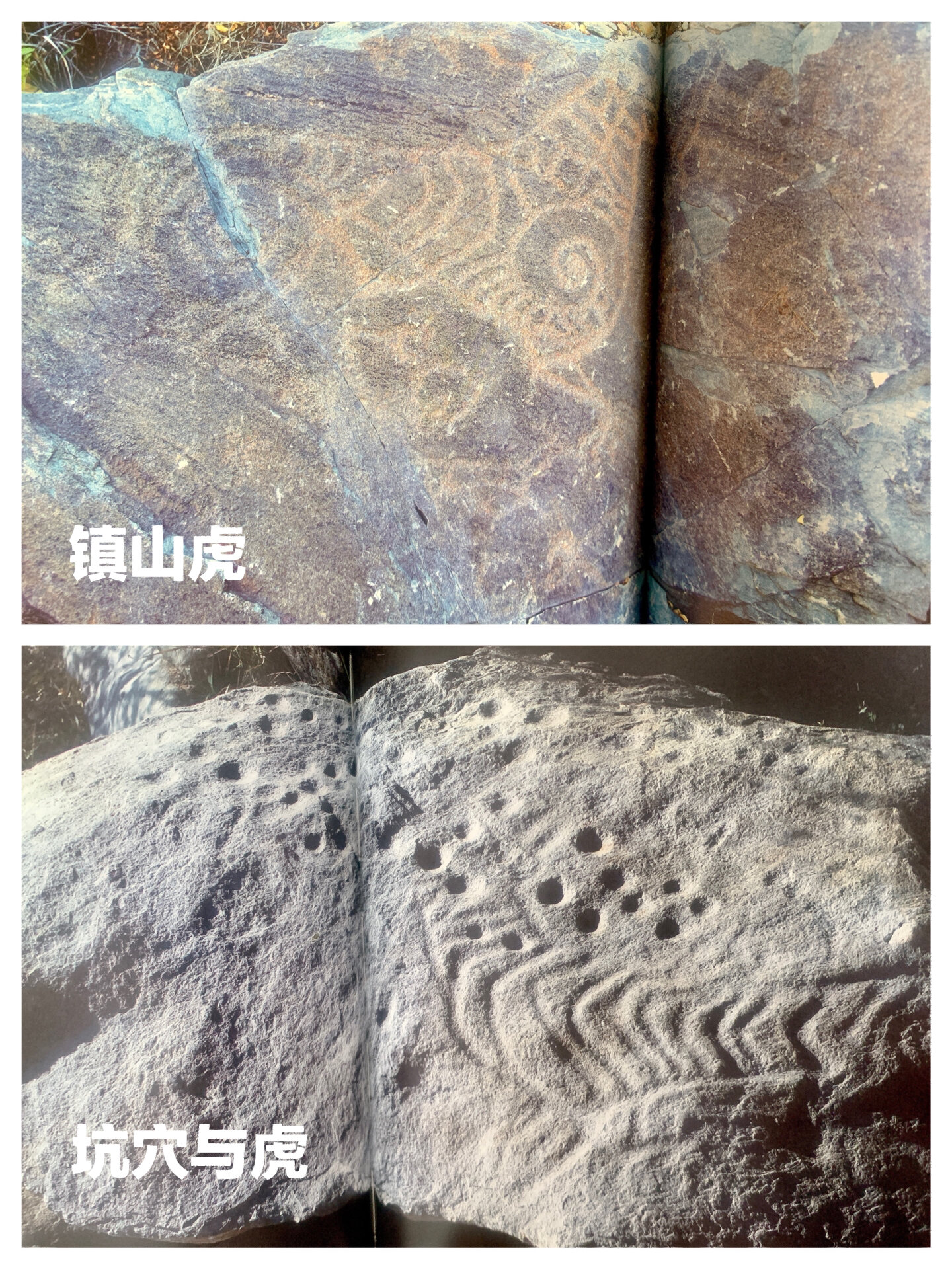 96我们来说说贺兰山岩画——虎图腾