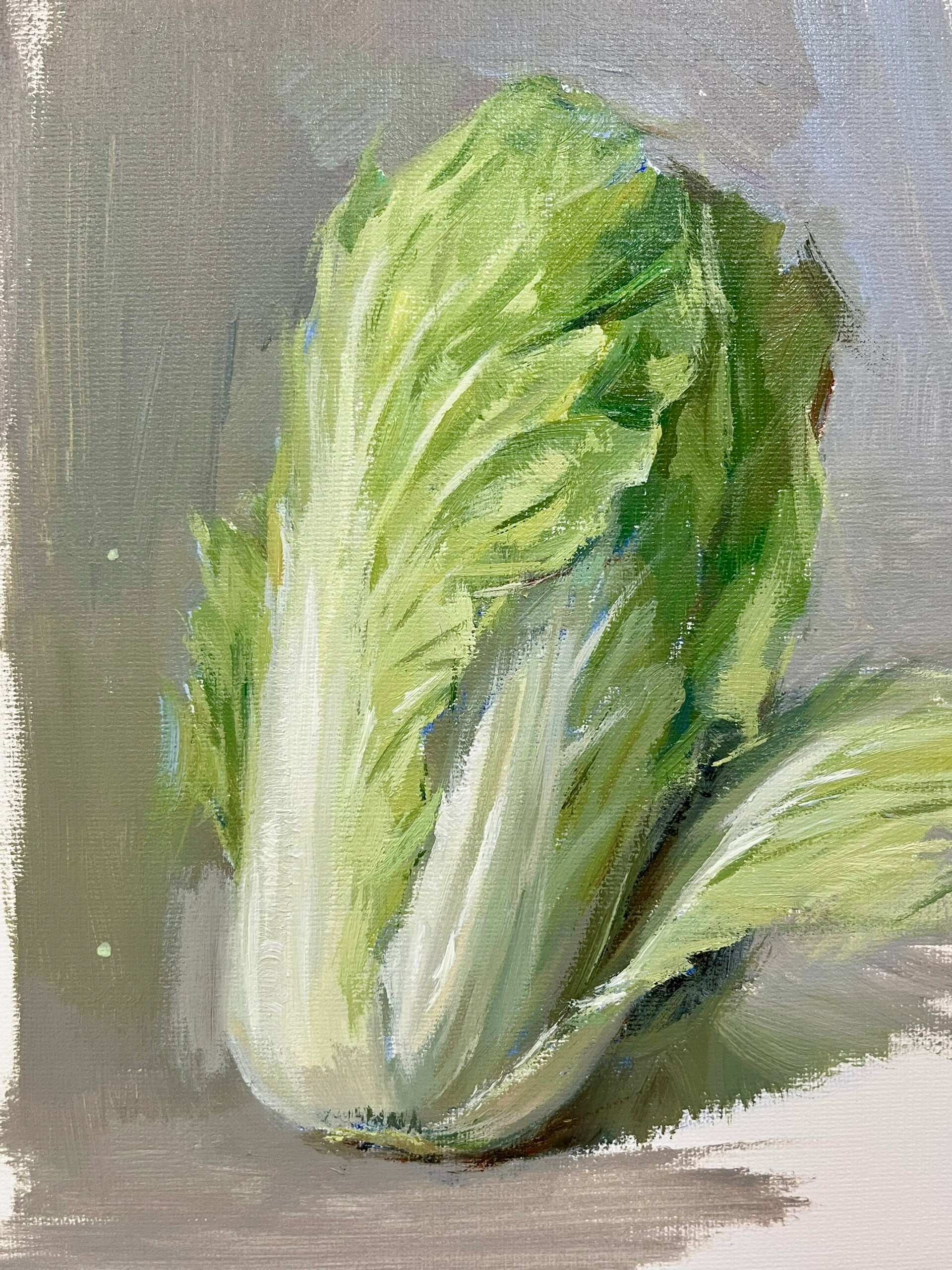 美术老师# #色彩单体塑造# #白菜出设# #美术生集训# #色彩静物