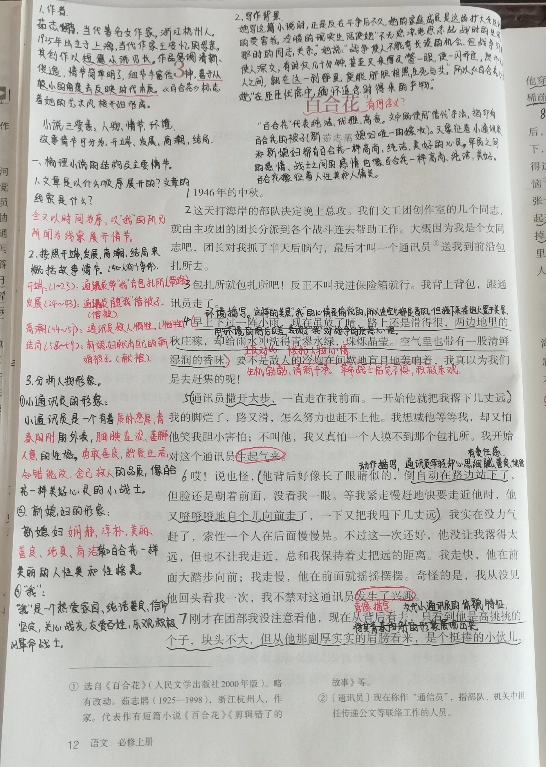 百合花故事梗概700字图片