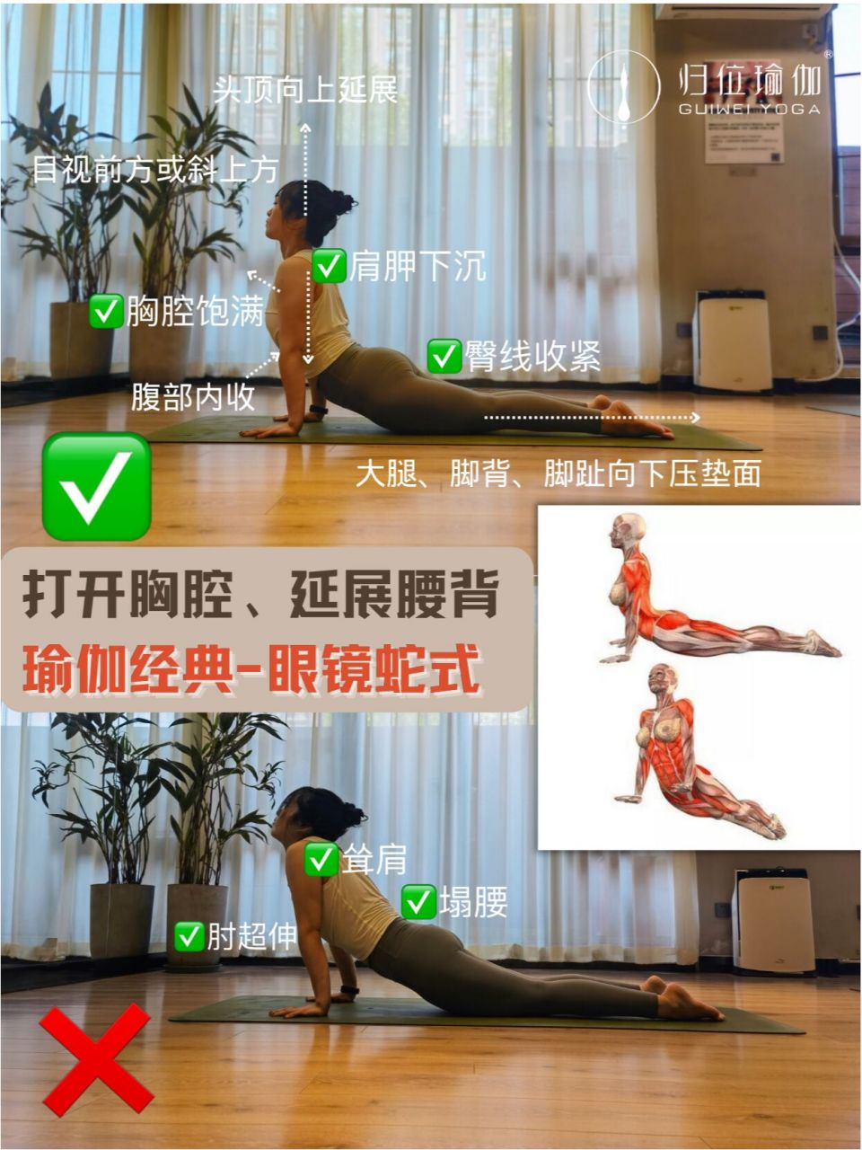 瑜伽经典-眼镜蛇式97 增强背肌,改善体态 今日分享瑜伽经典体式