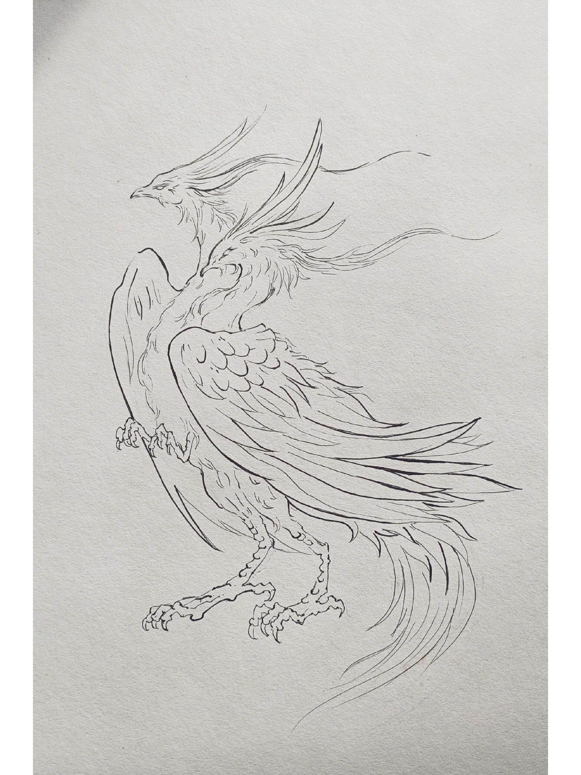 山海经异兽"鸓"线稿临摹