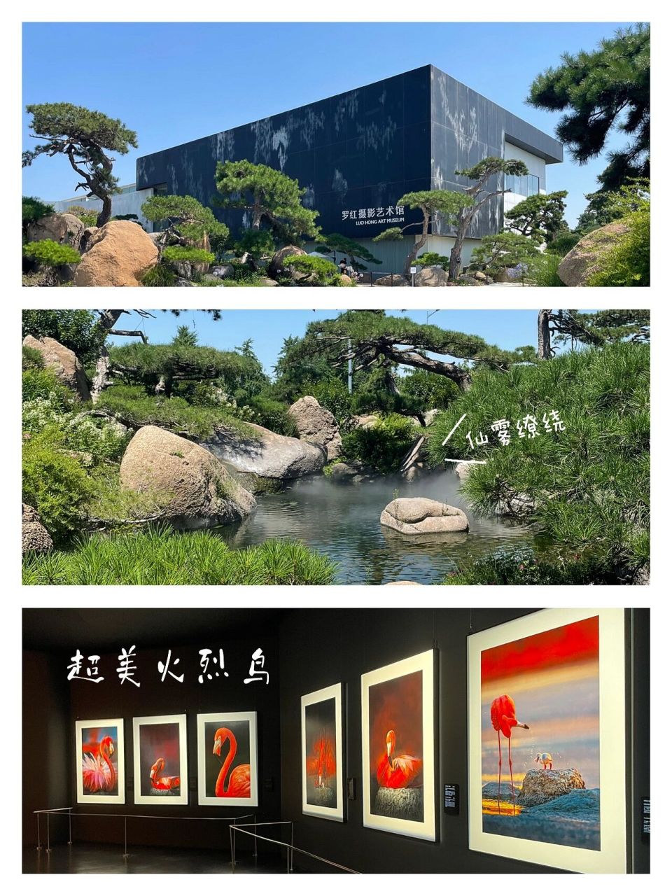 罗红摄影艺术馆 01地铁15号线国展站,然后坐顺62路到终点站,再步行5