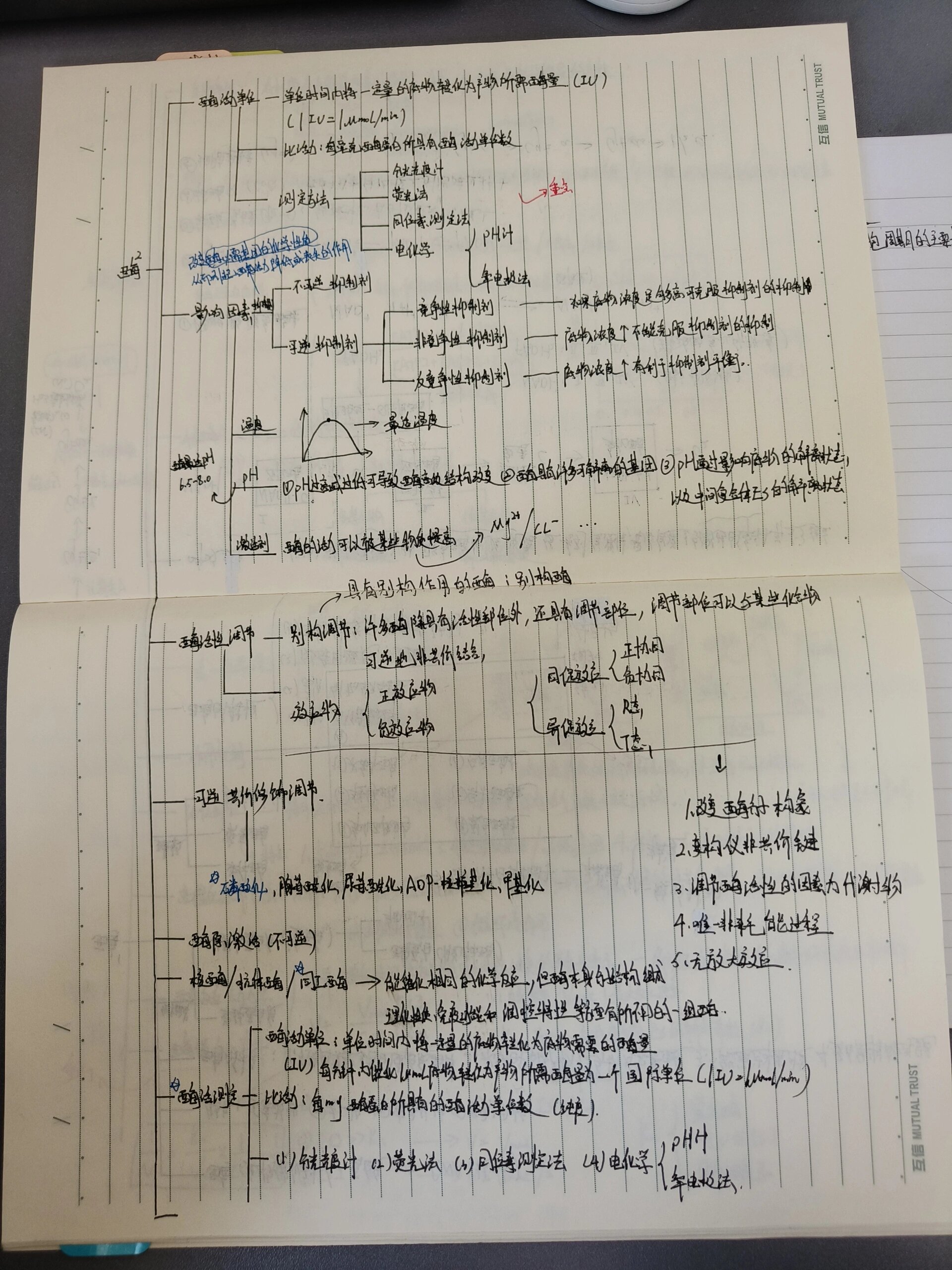酶-生化思维导图