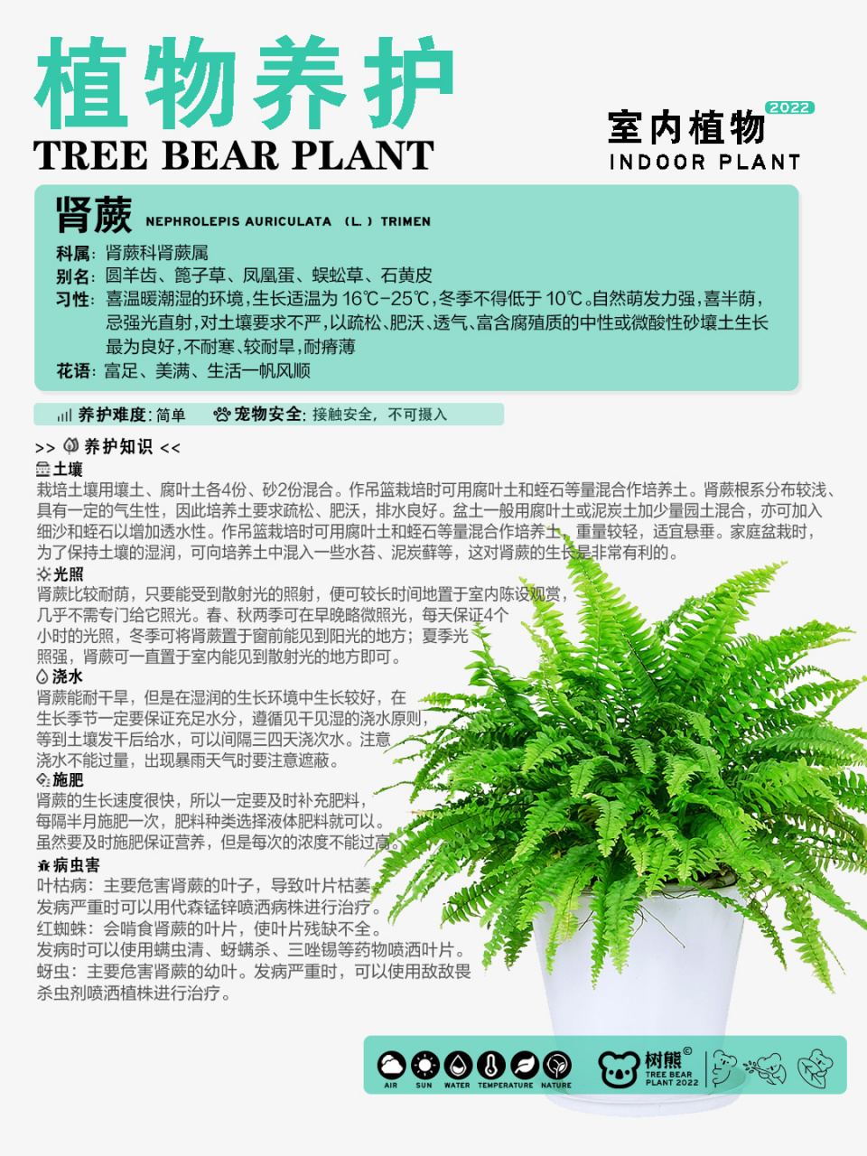 花卉绿植#0202#室内植物#0202#绿植成长日记#0202#养花