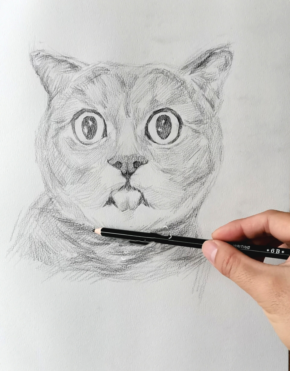画了一只猫咪素描铅笔画(附教程) 许久没用铅笔画素描画了,今天尝试了