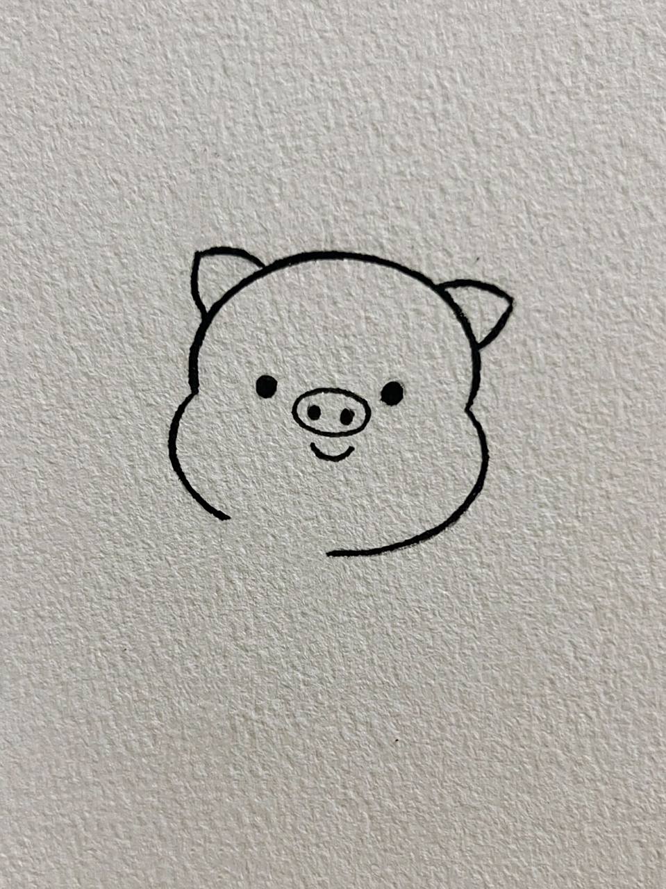 每日简笔画教程63|超可爱的猪猪简笔画