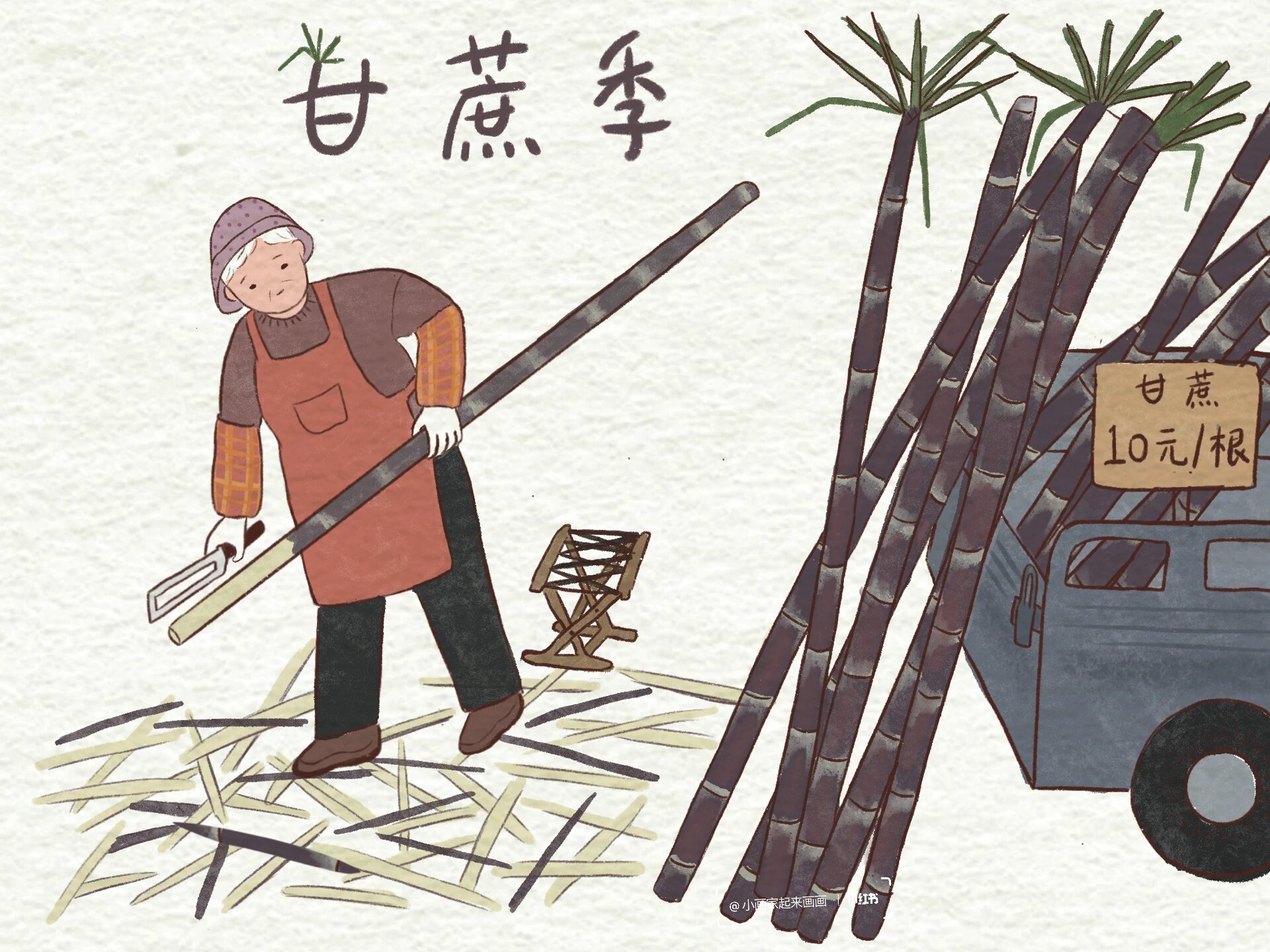 画一画秋天|甘蔗