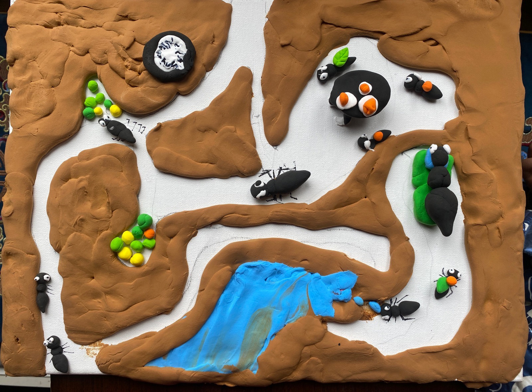 造窝技术一流 认识蚂蚁生活的习性 7815用粘土表现出蚂蚁窝的构造