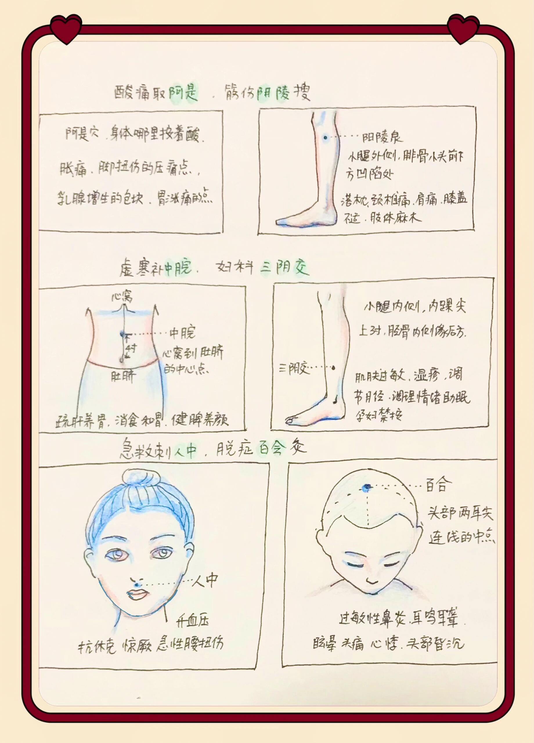 24穴位歌诀手绘笔记 肚腹三里留,腰背委中求; 头项寻列缺,面口合谷收.